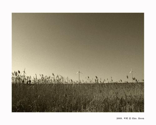 서쪽바다... "서천"