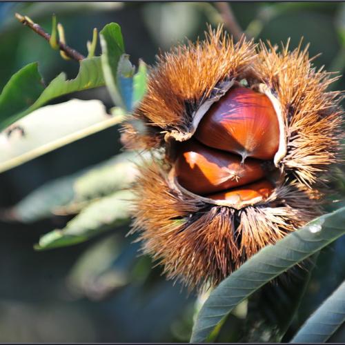 가을이 익어가는 날에