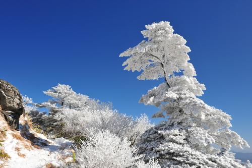 덕유의 눈꽃(2부)