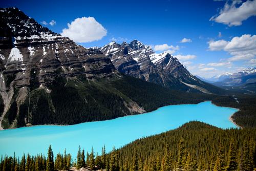 Canadian Rockies에서...