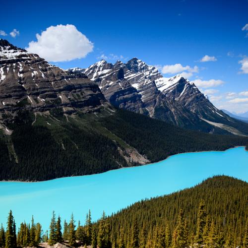 Canadian Rockies에서...