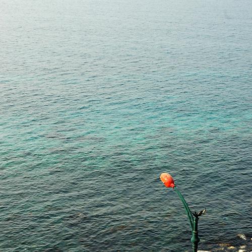 바다 그리고 갯메꽃....