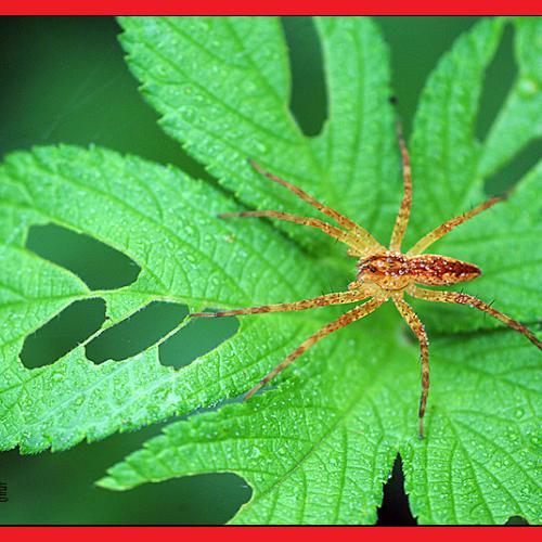 오늘 아침엔84탄