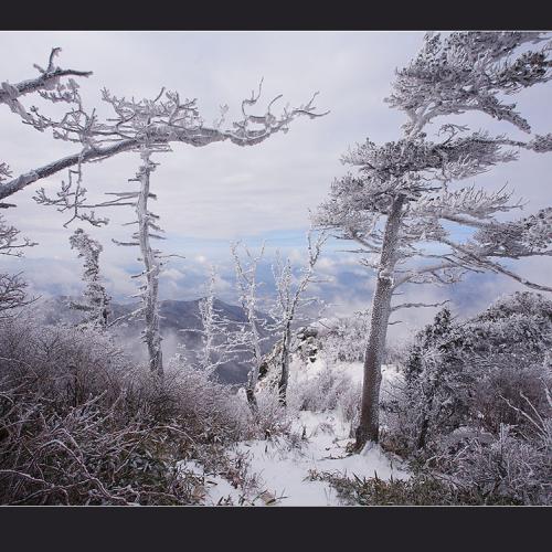 덕유초설(연작13장)