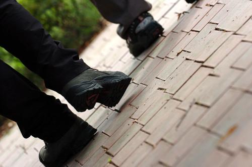 의도되지 않았던 사진