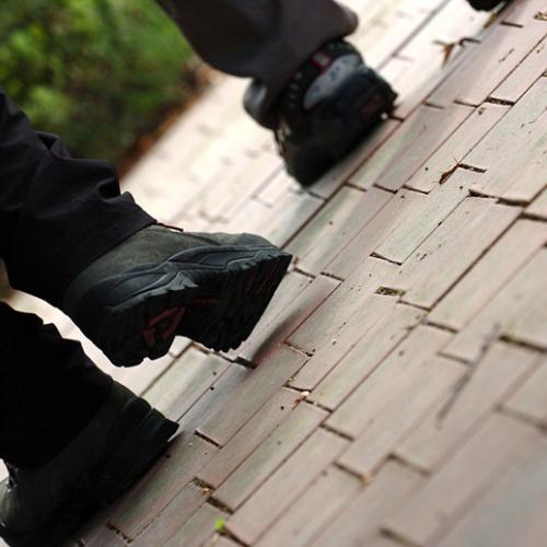 의도되지 않았던 사진