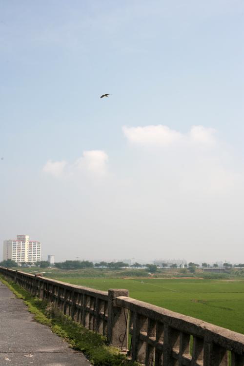 오늘의 일기 (5) - 거리