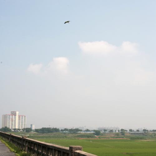 오늘의 일기 (5) - 거리