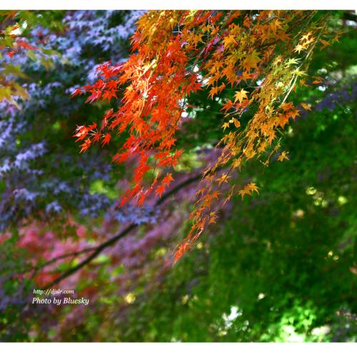 빨,주,노,초,파,남,보...