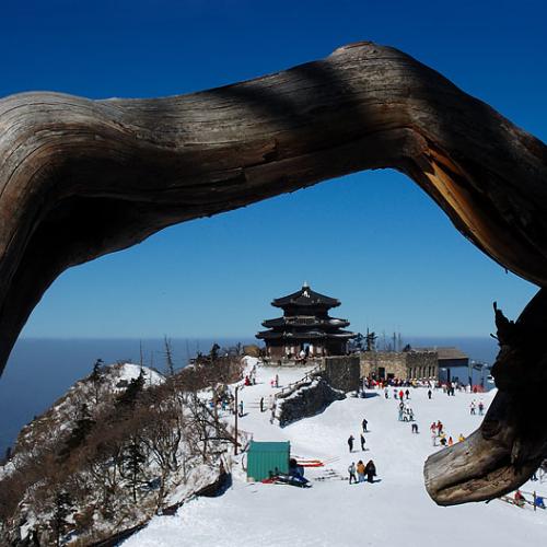 낭만/현영찬님 화각 따라하기...