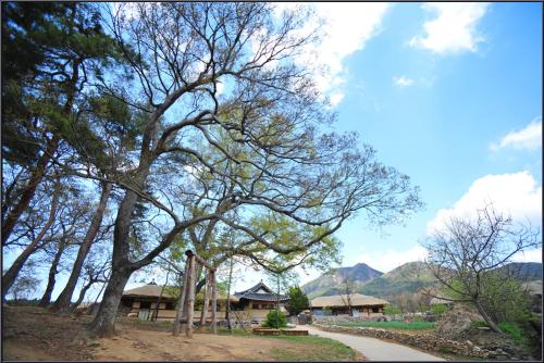 외암마을의 봄날