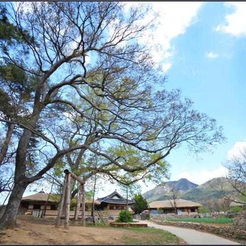 외암마을의 봄날