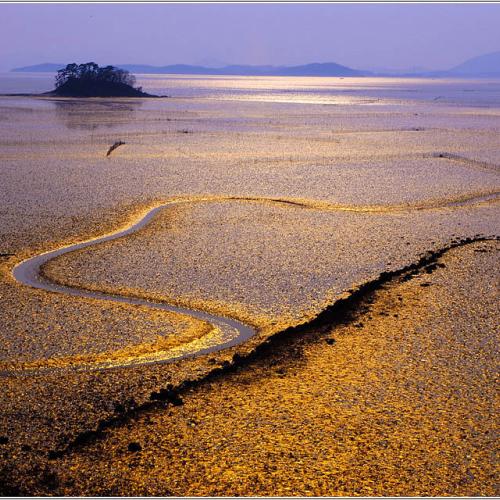 순천만 와온마을의 황금갯벌