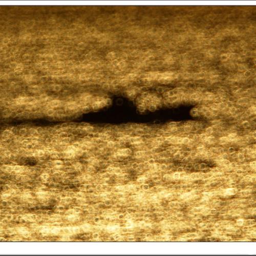 배가 있는 풍경 #16