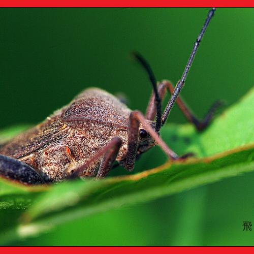 오늘 아침엔84-2탄