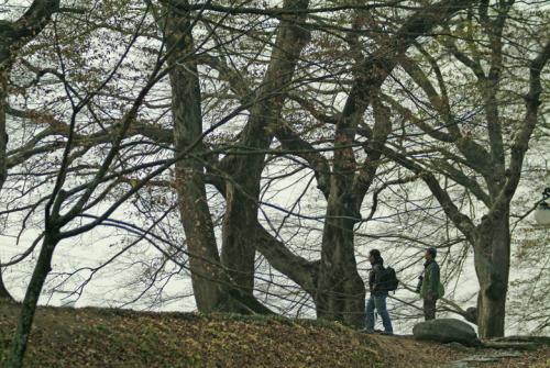 가우디 & 남뜰님
