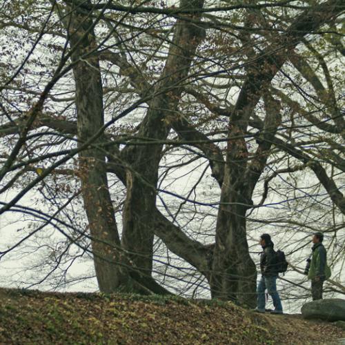 가우디 & 남뜰님