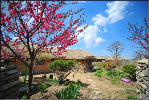 외암마을의 봄날