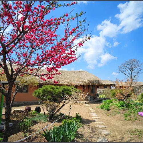 외암마을의 봄날