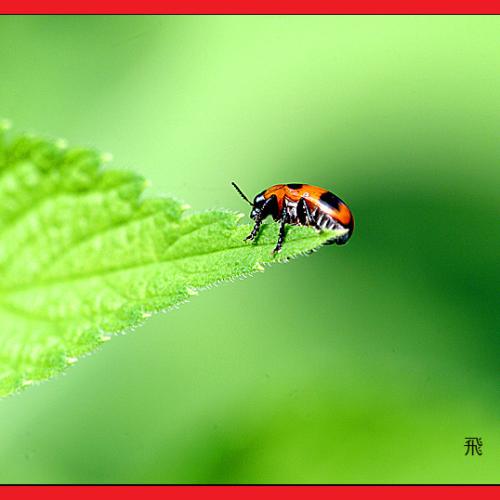 오늘 아침엔84 -3탄