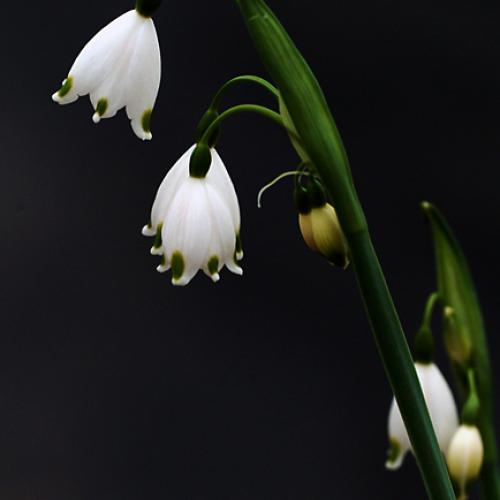 오늘 아침엔153-2탄