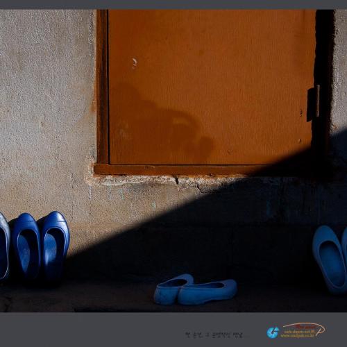 낮설치 않은 풍경..