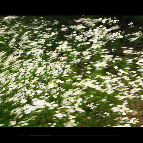 바람 부는 날의 풍경