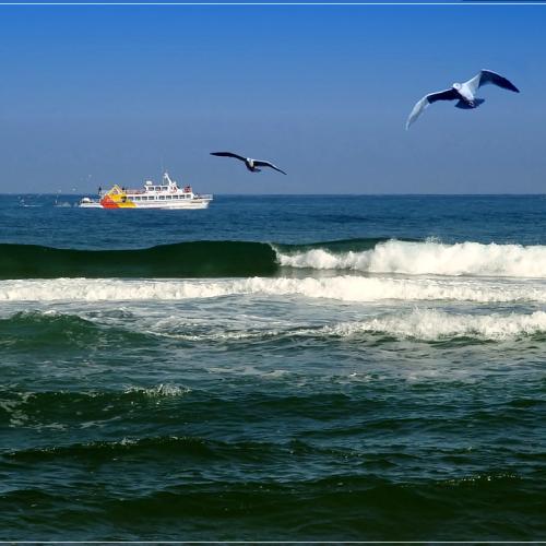 정동진 해변에서..