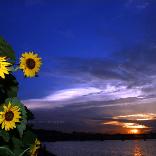 Welcome to Seoul...^^