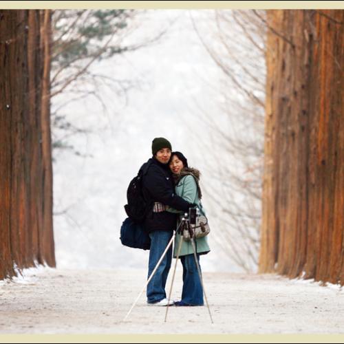  남이섬 vs 신탄진 (비교)