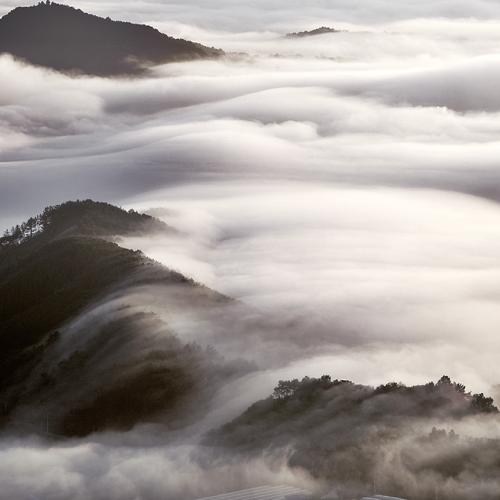 꿈도 흐르고 운해도 흐른다..^^