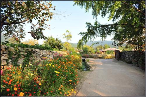 돌담길을 걸으며...