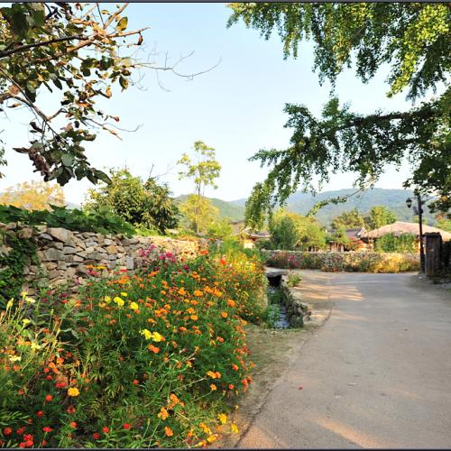 돌담길을 걸으며...