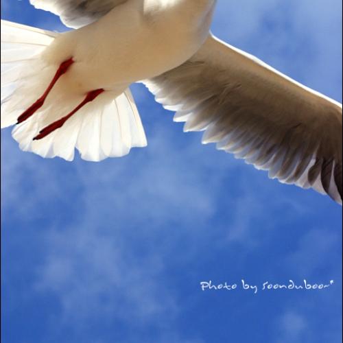 -0-우려먹는 사진..