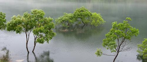 비오는날의 수채화