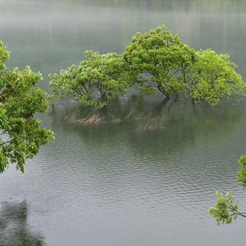 비오는날의 수채화