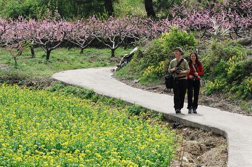 삼성맨님과 솜사탕님