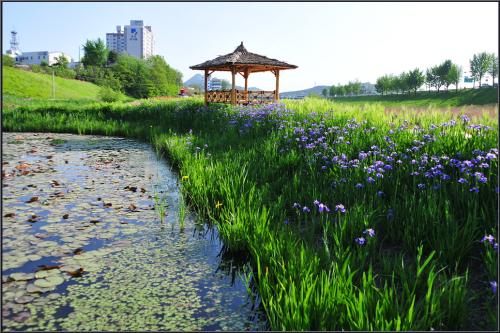 공주 정안천 산책(2)