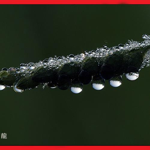 오늘 아침엔85-2탄