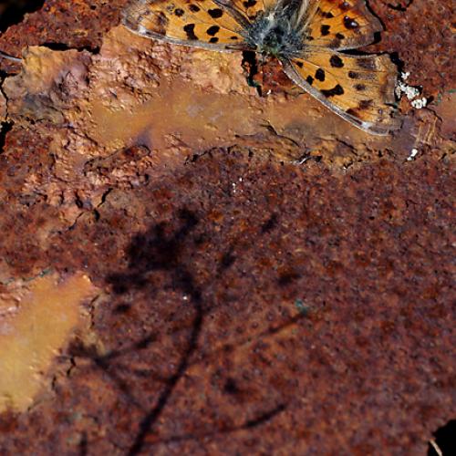 오늘 아침엔153-3탄