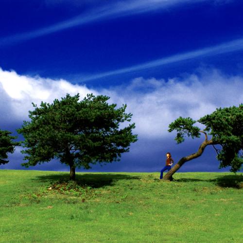 카메라 앞에서는 대담한 그녀