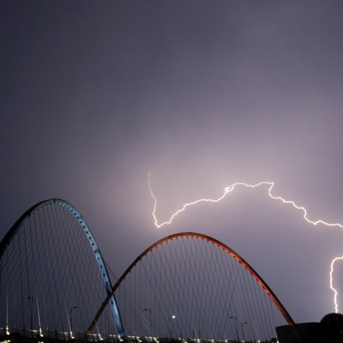 번개맞은 엑스포..