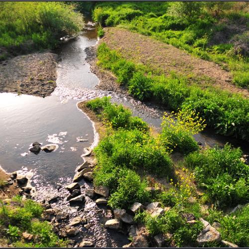 공주 정안천 산책(3)