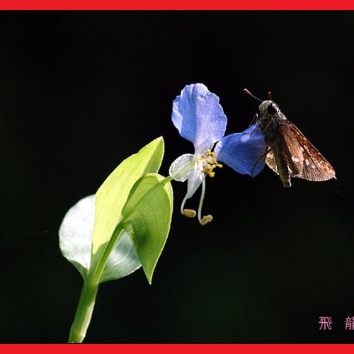 오늘 아침엔85-3탄