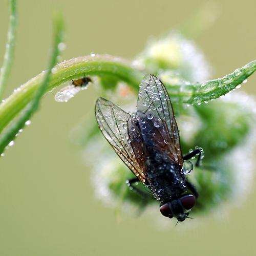 오늘 아침엔212탄(동행)