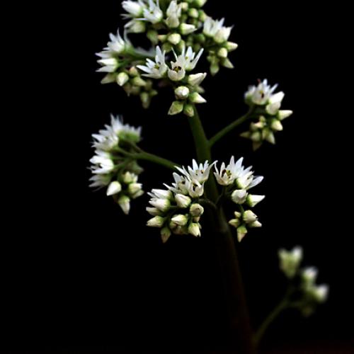 오늘 아침엔154탄