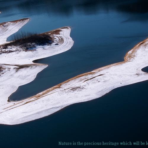 물고기들의 반란...