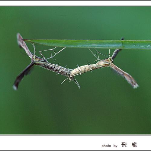 오늘 아침엔86탄(이거이 뭔가요)