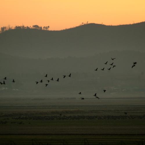 금강에서 놀다가~*