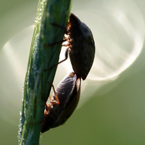 오늘 아침엔212-2탄(어부바?)